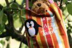 In die Tasche