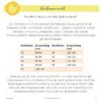 Ebook die wilde Matrossel