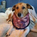 *Good Girl* Plotterdatei – Bild 6