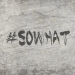 *#sowhat* Plotterdatei