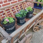 *Garten* Plotterdateiset – Bild 5