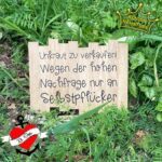 *Garten* Plotterdateiset – Bild 3