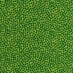 Baumwolle "Dottys" - dunkel-/kiwigrün – Bild 2