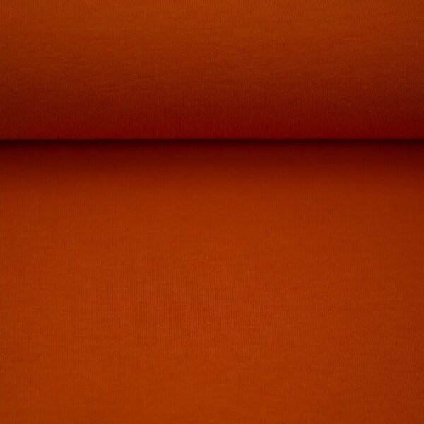 Jersey Baumwolle “Vanessa” – orange – Swafing – Bild 2