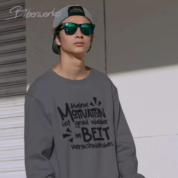 Biberwerke Meine Motivation ist grad wieder im Bett verschwunden