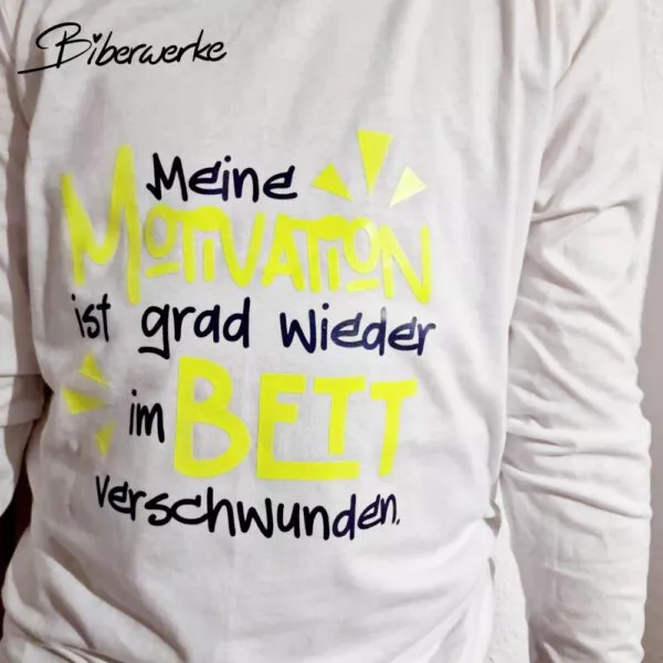 Biberwerke Meine Motivation ist grad wieder im Bett verschwunden