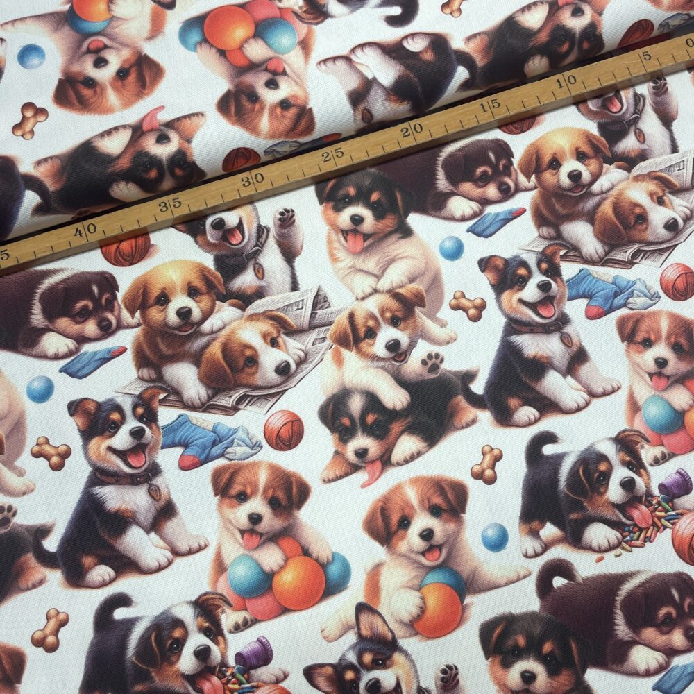 IMG_6492 Canvas - Hunde Welpen – Bild 1